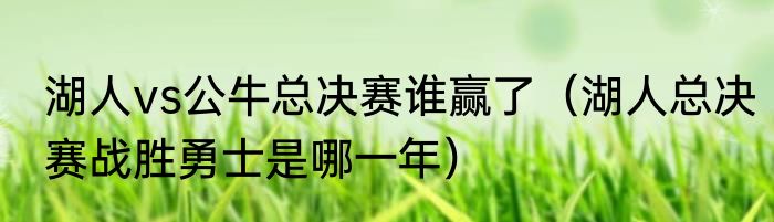 湖人vs公牛总决赛谁赢了（湖人总决赛战胜勇士是哪一年）