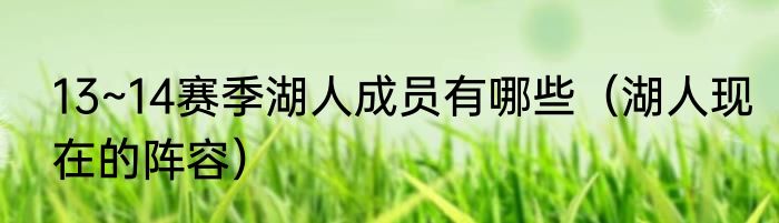 13~14赛季湖人成员有哪些（湖人现在的阵容）