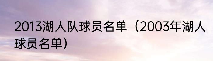 2013湖人队球员名单（2003年湖人球员名单）
