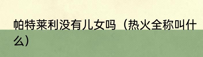 帕特莱利没有儿女吗（热火全称叫什么）