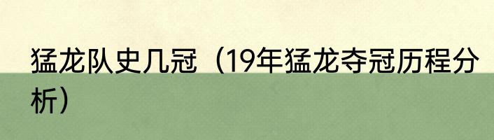 猛龙队史几冠（19年猛龙夺冠历程分析）