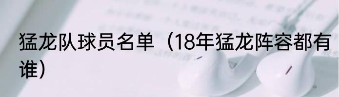 猛龙队球员名单（18年猛龙阵容都有谁）