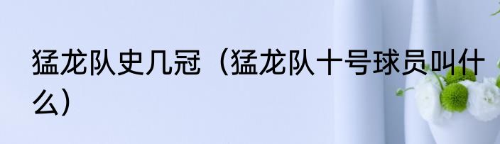 猛龙队史几冠（猛龙队十号球员叫什么）