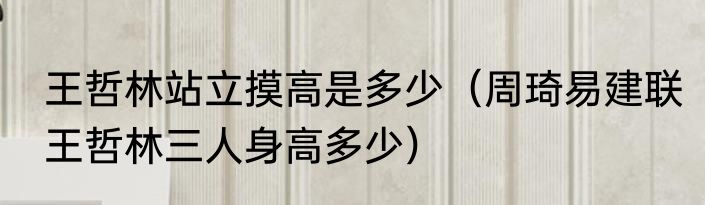 王哲林站立摸高是多少（周琦易建联王哲林三人身高多少）