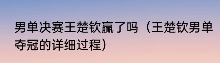 男单决赛王楚钦赢了吗（王楚钦男单夺冠的详细过程）