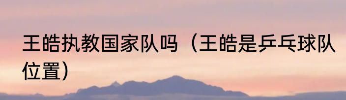 王皓执教国家队吗（王皓是乒乓球队位置）