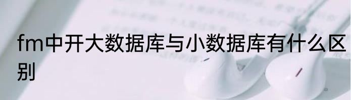 fm中开大数据库与小数据库有什么区别
