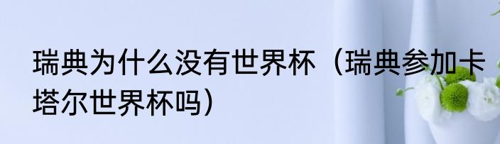 瑞典为什么没有世界杯（瑞典参加卡塔尔世界杯吗）