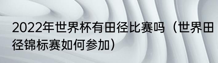 2022年世界杯有田径比赛吗（世界田径锦标赛如何参加）