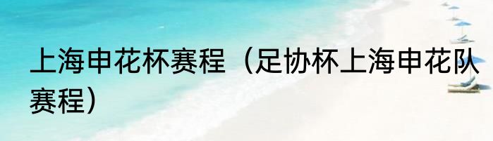 上海申花杯赛程（足协杯上海申花队赛程）