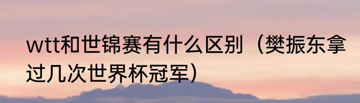 wtt和世锦赛有什么区别（樊振东拿过几次世界杯冠军）