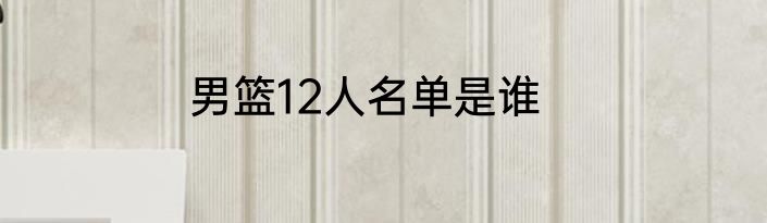 男篮12人名单是谁