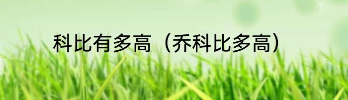 科比有多高（乔科比多高）