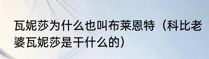 瓦妮莎为什么也叫布莱恩特（科比老婆瓦妮莎是干什么的）