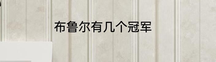 布鲁尔有几个冠军