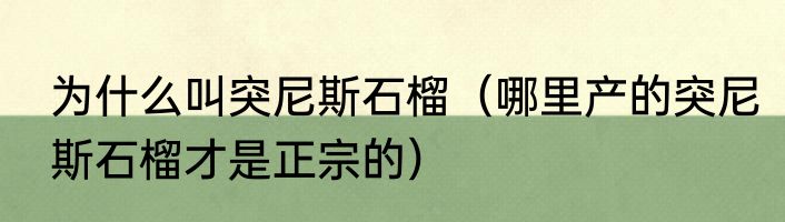 为什么叫突尼斯石榴（哪里产的突尼斯石榴才是正宗的）