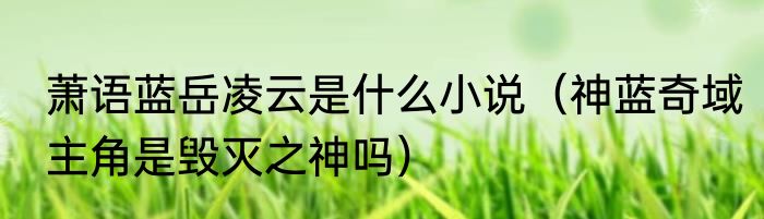 萧语蓝岳凌云是什么小说（神蓝奇域主角是毁灭之神吗）