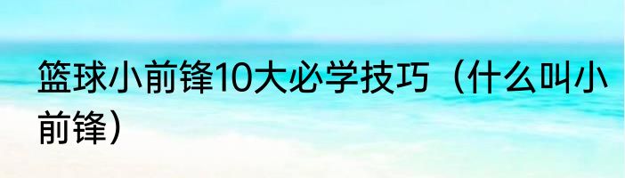 篮球小前锋10大必学技巧（什么叫小前锋）