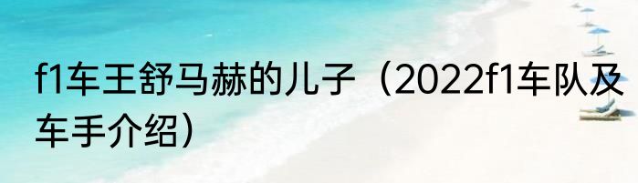 f1车王舒马赫的儿子（2022f1车队及车手介绍）