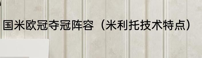 国米欧冠夺冠阵容（米利托技术特点）