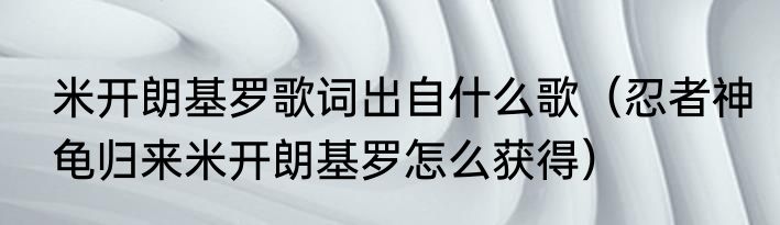 米开朗基罗歌词出自什么歌（忍者神龟归来米开朗基罗怎么获得）