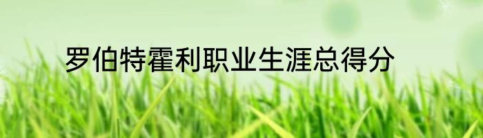 罗伯特霍利职业生涯总得分