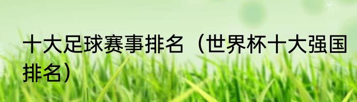 十大足球赛事排名（世界杯十大强国排名）