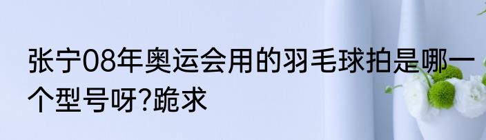 张宁08年奥运会用的羽毛球拍是哪一个型号呀?跪求