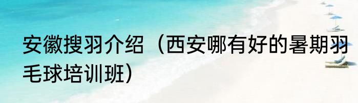 安徽搜羽介绍（西安哪有好的暑期羽毛球培训班）
