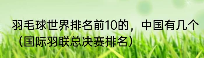 羽毛球世界排名前10的，中国有几个（国际羽联总决赛排名）