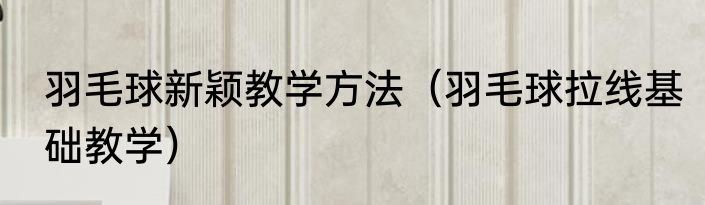 羽毛球新颖教学方法（羽毛球拉线基础教学）
