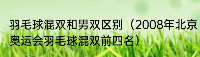 羽毛球混双和男双区别（2008年北京奥运会羽毛球混双前四名）