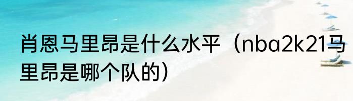 肖恩马里昂是什么水平（nba2k21马里昂是哪个队的）