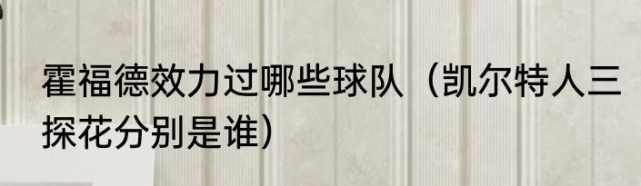 霍福德效力过哪些球队（凯尔特人三探花分别是谁）