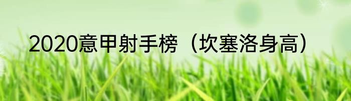 2020意甲射手榜（坎塞洛身高）