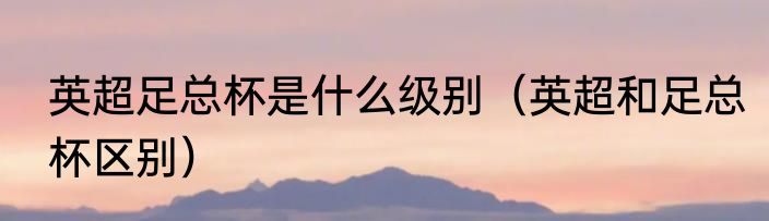 英超足总杯是什么级别（英超和足总杯区别）