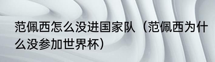 范佩西怎么没进国家队（范佩西为什么没参加世界杯）