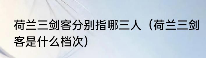 荷兰三剑客分别指哪三人（荷兰三剑客是什么档次）