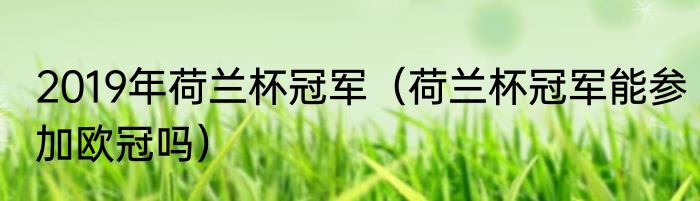 2019年荷兰杯冠军（荷兰杯冠军能参加欧冠吗）