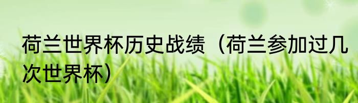 荷兰世界杯历史战绩（荷兰参加过几次世界杯）