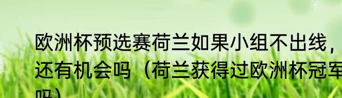 欧洲杯预选赛荷兰如果小组不出线，还有机会吗（荷兰获得过欧洲杯冠军吗）