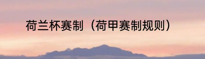 荷兰杯赛制（荷甲赛制规则）