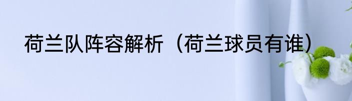 荷兰队阵容解析（荷兰球员有谁）