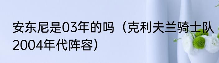 安东尼是03年的吗（克利夫兰骑士队2004年代阵容）
