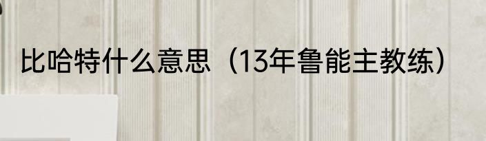 比哈特什么意思（13年鲁能主教练）