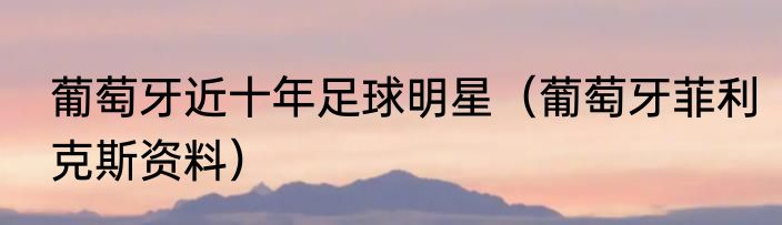 葡萄牙近十年足球明星（葡萄牙菲利克斯资料）