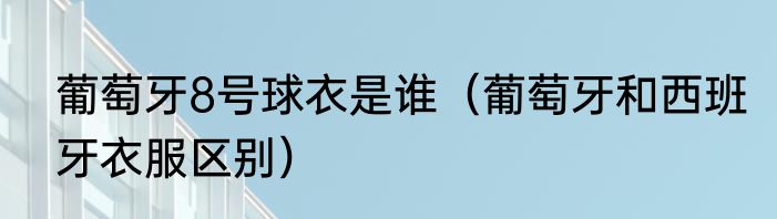 葡萄牙8号球衣是谁（葡萄牙和西班牙衣服区别）