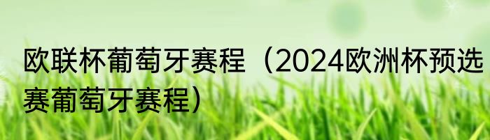 欧联杯葡萄牙赛程（2024欧洲杯预选赛葡萄牙赛程）
