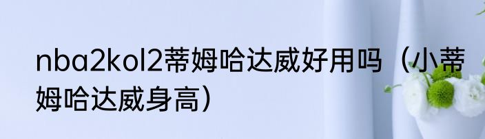 nba2kol2蒂姆哈达威好用吗（小蒂姆哈达威身高）