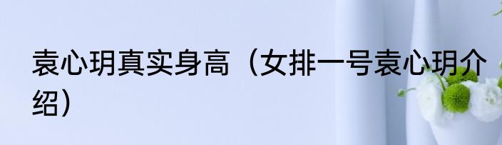 袁心玥真实身高（女排一号袁心玥介绍）